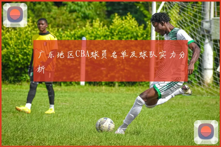 广东地区CBA球员名单及球队实力分析