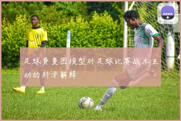 足球费曼图模型对足球比赛战术互动的科学解释