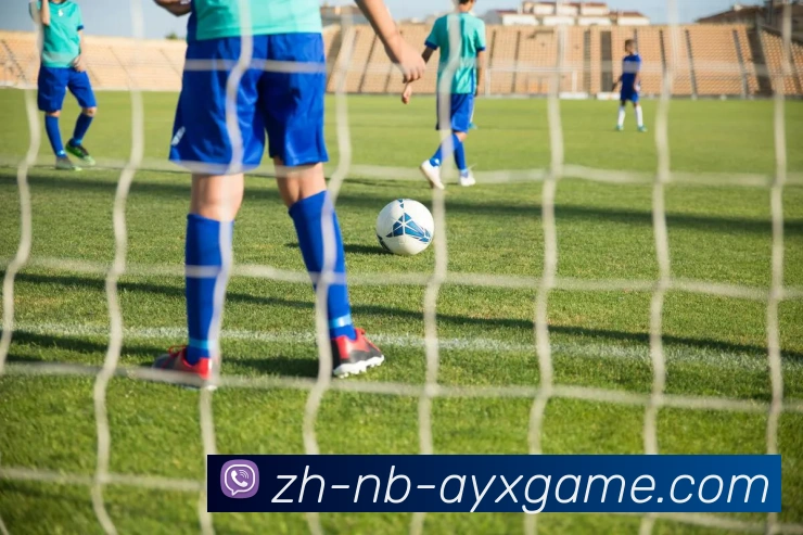 爱游戏APP 封面图